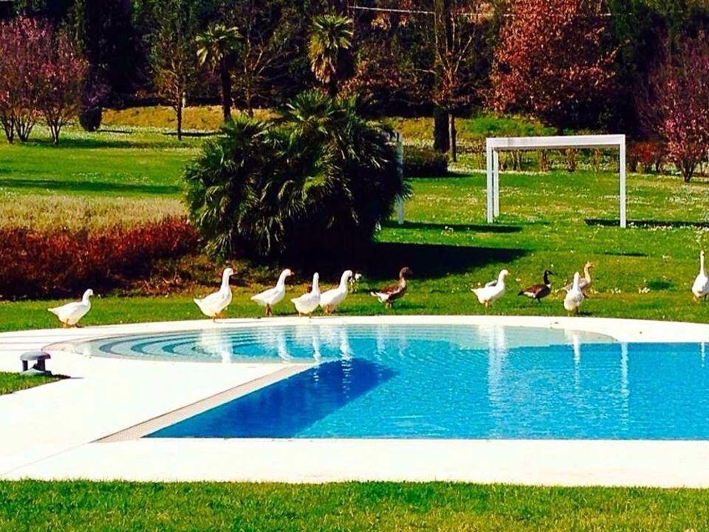 Agriturismo La Casa Di Rodo Quarrata Ngoại thất bức ảnh